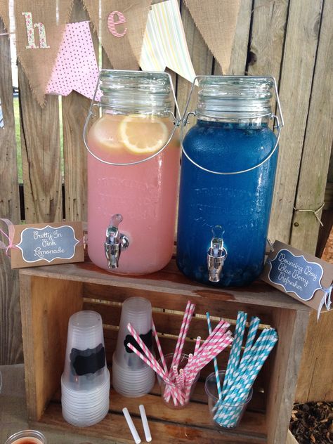 Gender Reveal Inspiration! www.dreamsindetail.com IG: @DREAMSINDETAIL_ Dreams In Detail travels worldwide to plan and design events. Contact 310-432-3290 or nicole@dreamsindetail.com #genderreveal #baby #ideas #surprise #decorations #themes #lemonade #blue #pink #inspiration #events #eventplanner Foto Gender Reveal, Gender Reveal Party Food, Simple Gender Reveal, Creative Gender Reveals, Gender Reveal Baby Shower Themes, Reveal Party Games, Baby Gender Reveal Party Decorations, Pregnancy Gender, Gender Reveal Party Games