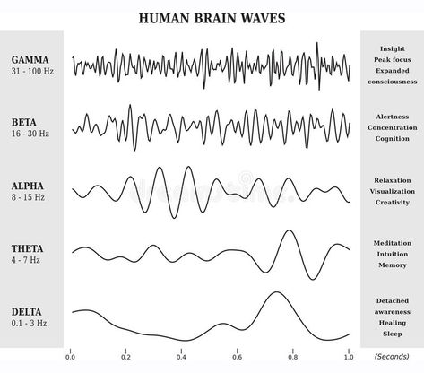 Human Brain Waves Diagram / Chart / Illustration. In Black and White #Sponsored , #sponsored, #Paid, #Brain, #Diagram, #Black, #Waves Alphabet Code, Stages Of Sleep, Diagram Chart, What Is Science, White Illustration, Wave Art, Brain Waves, Human Brain, Healthy Sleep