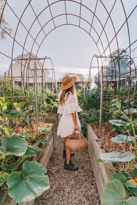 Diy Veggie Garden, Garden Enclosure, Garden Arch Trellis, Flower Trellis, Arch Trellis, Diy Trellis, Garden Entrance, Garden Arches, Veg Garden