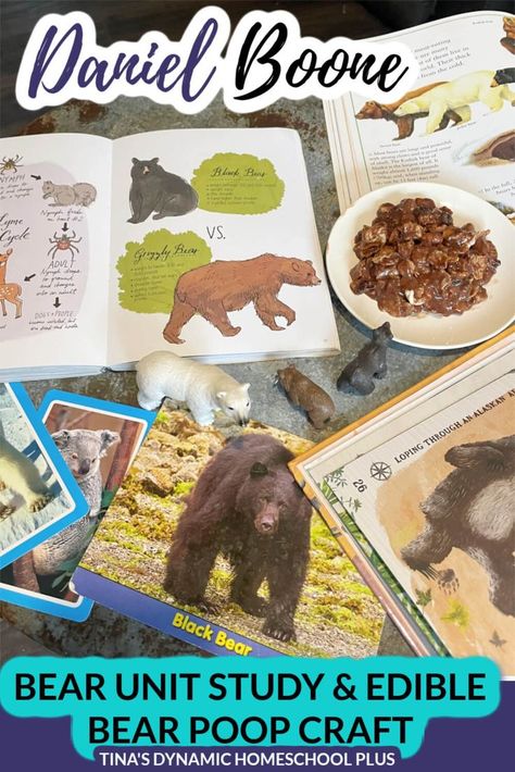 Daniel Boone Explorer Black Bear Unit Study and Fun Edible Bear Poop Daniel Boone Activities, Bear Unit Study, Mammals Activities, Free Homeschool Planner, Bears Preschool, Curriculum Planner, American History Homeschool, Animal Lessons, Ideas For Learning