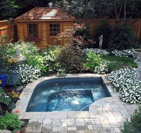 Nature Homes, Cocktail Pools, Cocktail Pool, Small Inground Pool, Small Swimming Pools, Plunge Pools, Small Pool Design, Small Backyard Gardens, Small Pools