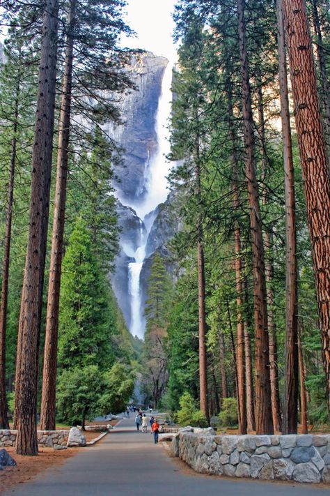 Yosemite National Park California, National Parks West Coast, Us National Parks Photography, National Parks Pictures, Yosemeti National Park, Amazing Places In Usa, National Parks Travel, Travel National Parks, California Hiking Aesthetic