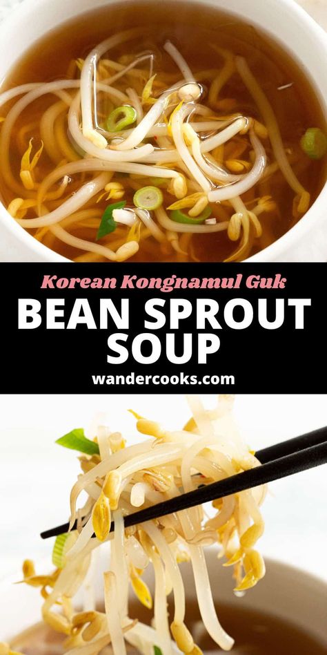 Try this amazing bean sprout soup alongside your favourite Korean recipes. Kongnamul Guk is simple and satisfying, and ready in less than 10 minutes! Soup With Bean Sprouts, Ramen With Bean Sprouts, Soup Light Healthy, Korean Broth Recipes, Korean Sprouts Recipe, Sprout Soup Recipe, Bean Sprout Recipes Korean, Korean Bean Sprout Soup, Sprouted Beans Recipes