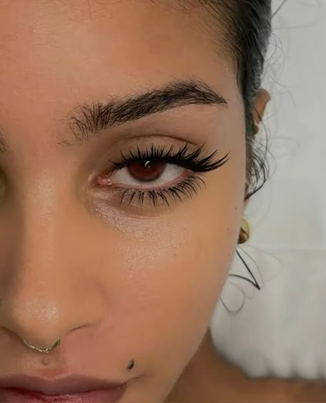 Nature Lash Extensions, Color Eye Lashes Extensions, Fake Lashes On End Of Eye, Whisky Hybrid Lash Extensions, Eyelash Set Up Ideas, Celebrity Lash Extensions, Lash Extensions For Hooded Almond Eyes, Best Lash Extensions For Round Eyes, Lash Extentions Hooded Eyes