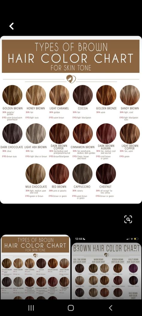 Hair Color Based On Skin Tone And Eye Color, Hair Colour For Skin Tone Shades, Brown Hair Tones Chart, Best Hair Colour For Tanned Skin, Brown Hair Cool Undertones, Hair For Light Olive Skin Tone, Haircolor Ideas For Neutral Skin, Brown Hair Colors For Green Eyes, Hair Colors For Olive Skin Tone And Green Eyes