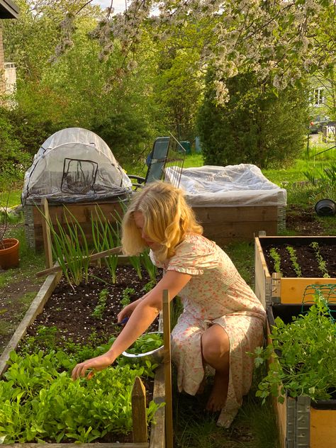 Garden Bed Aesthetic, Small Home Garden Aesthetic, Backyard Vegetable Garden Aesthetic, Vision Board Homestead, How To Live A Cottagecore Lifestyle, Homestead Wife Aesthetic, Gardening Aesthetic Girl, Small Homestead Aesthetic, Home Making Aesthetic