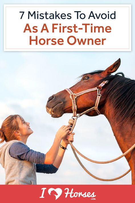 All horse owners go through the same learning process. It’s a rite of passage to go from a newbie to a capable and confident horse owner. Mistakes are bound to happen, but we want to help you avoid the big ones! From shopping for your first horse to learning how to properly care for him or her, there’s a lot to learn. Before you embark on your journey as a horse owner, make sure you don’t commit these 7 common mistakes. | #horseowner #ihearthorses #eqlife #equestrianproblems #horseownertips Learning To Ride A Horse, How To Take Care Of Horses, First Horse Essentials, First Time Horse Owner Checklist, How To Train Your Horse, Taking Care Of Horses For Beginners, Horse Ownership For Beginners, New Horse Owner Checklist, How To Take Care Of A Horse