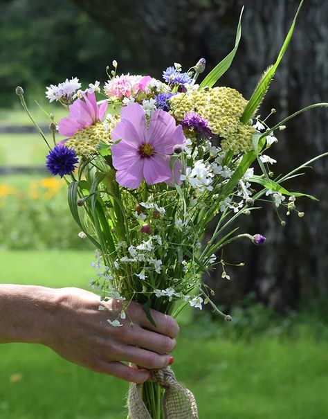 Easy DIY Bouquets With Wildflowers | American Meadows Flower Colour Palette, Meadow Bouquet, Gypsophila Elegans, Mexican Sunflower, Zinnia Elegans, American Meadows, Flower Seeds Packets, Wild Flower Meadow, Spring Wedding Bouquet