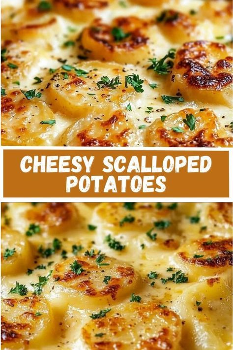 Indulge in these rich and creamy Cheesy Scalloped Potatoes, baked to perfection with layers of tender potatoes and gooey melted cheese. This comforting side dish is perfect for holidays, family dinners, or anytime you need a little extra cheesy goodness in your life. Layered Potato Bake, Scalloped Potato Casserole, Cheese Scalloped Potatoes, Cheesy Scalloped Potatoes Recipe, Best Scalloped Potatoes, Creamy Scalloped Potatoes, Scalloped Potatoes Easy, Cheesy Potatoes Recipe, Cheesy Scalloped Potatoes