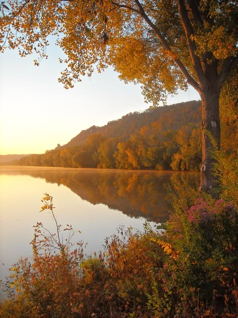 The fall colors of Winona, MN are incredible. Photo by Mary Farrell http://www.visitwinona.com Fall In Minnesota, Fall In Vermont Autumn, Minnesota Autumn, Winona Mn Minnesota, Minnesota Aesthetic, Pennsylvania Autumn, Minnesota Fall, Winona Minnesota, Winona Mn