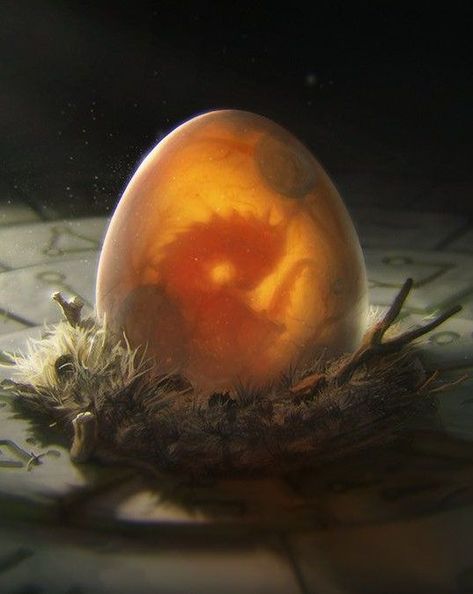 Dragon Egg Art, Dragon Moodboard, Violin Design, Dragon Eggs, Dragon Nest, My Fantasy World, Beautiful Dragon, Magic Aesthetic, Dragon Rider