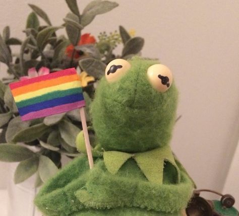 Sapo Kermit, Kermit Meme, Kermit Memes, Kermit Funny, Frog Meme, Gay Aesthetic, Gay Memes, Kermit The Frog, Golden Trio