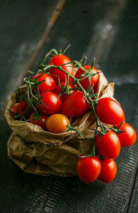 Tanaman Tomat, Italian Tomatoes, Vegetables Photography, Dark Food Photography, Food Art Photography, Fruits Photos, Fruit Wallpaper, Still Life Fruit, Tortellini Soup