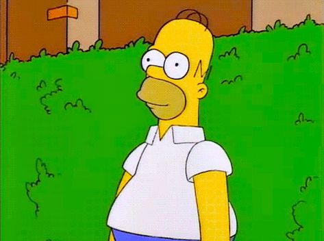 homer simpson animated gif Homer Bush, Simpsons Meme, Reaction Gif, Matt Groening, Good Gif, The Simpson, Socially Awkward, Homer Simpson, Netflix And Chill