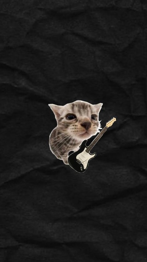 rockstar cat pfp/wallpaper Rockstar Cat, Changing Wallpaper, Phone Backround, Cute Backrounds, Mv Ideas, Good Wallpapers, Rockstar Aesthetic, Cute Funny Pics, Cat Pfp