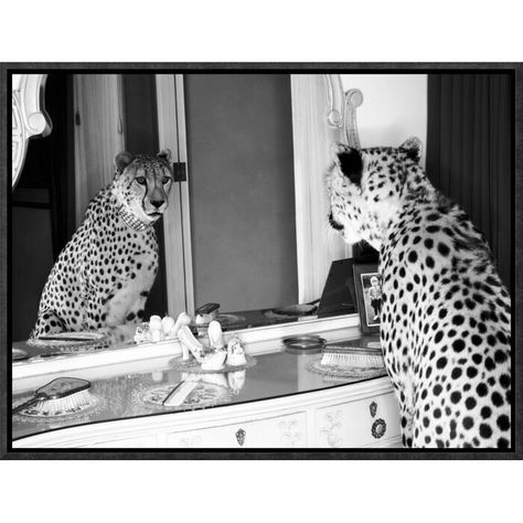 Global Gallery 'Cheetah Looking in Mirror' by Emma Rian Framed Photographic Print on Canvas | Wayfair Looking In Mirror, Mirror Canvas Art, Urban Road, Apartment Art, College Room, Apartment Decor Inspiration, College Apartment, My Apartment, Wall Art Ideas