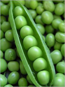 peas Snap Pea, Everything Green, I Love Green, The Color Green, Pea Pods, Green Things, All Things Green, Sugar Snap Peas, Snap Peas