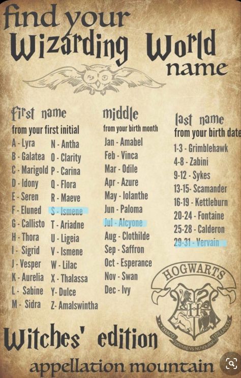 My Harry Potter Name, Harry Potter Name Generator, Herbology Harry Potter, Harry Potter Family Tree, Hufflepuff Stuff, Funny Name Generator, Harry Potter Teachers, Harry Potter Words, Harry Potter Scrapbook