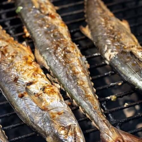 Whole Grilled Spanish Mackerel {20 Minute Recipe} - Kitchen Laughter Spanish Mackerel Recipe Grilled, Spanish Mackerel Recipe, Cheese Pasta Dishes, Smoked Trout Dip, Cauliflower Purée, Mackerel Recipe, Switchel Recipe, Whole Fish Recipes, Potatoes And Corn