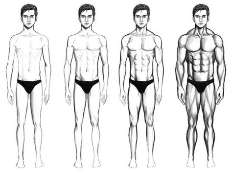 A man's body. With different muscle mass Female Action Poses, Ectomorph Workout, Exercise For Men, Post Workout Shake, Body Combat, Body Types Women, Workout Protein, Body Sketches, Body Hacks