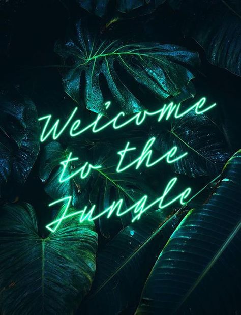 Hair Salon Interior Design, Neon Light Wallpaper, Neon Jungle, Neon Quotes, Light Wallpaper, Neon Words, Lit Wallpaper, Neon Aesthetic, Neon Wallpaper