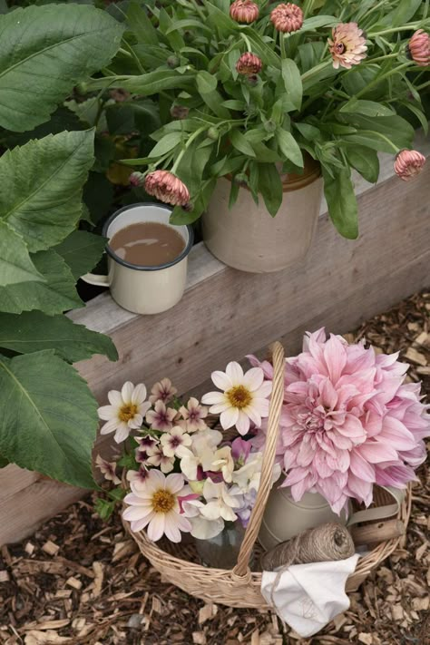 Allotment Diaries: July 2020 • Hollie Berries Allotment Style Garden, Allotment Flower Bed, Fence And Flowers, Beautiful Allotments, Pretty Allotment, The Allotment Wallpaper, Allotment Ideas, Allotment Gardening, Potager Garden