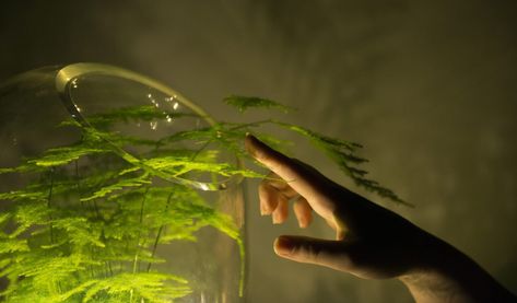 A new lamp designed by Dutch company uses the photosynthetic process to derive power from living plants. Earth Powers, Chemical Energy, Plant Magic, Magic Aesthetic, Magic Powers, Plant Powered, Photosynthesis, Alternative Energy, Green Energy