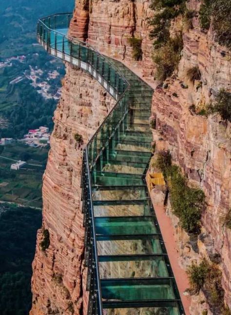 Precious Places, Bridges Architecture, Floating Architecture, Glass Bridge, Bridge Photography, Nice Places, Breathtaking Places, Pedestrian Bridge, Island Resort