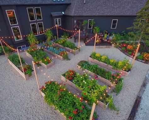 Plantarea Legumelor, Vegetable Garden Ideas, Vegetable Garden Beds, Healthy Vegetable, Backyard Vegetable Gardens, Nutritious Food, Vegetable Gardens, Garden Types, Veg Garden