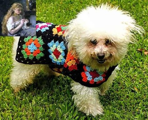 Granny Square Dog Sweater, Granny Square Dog, Dogs Dress, Diy Dog Sweater, Crochet For Pets, Dog Sweater Crochet, Crochet Dog Clothes, Dog Coat Pattern, Dog Kennel Cover