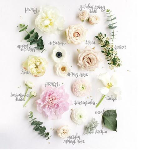 Names Of Flowers In Bouquets, Flower Language Bouquet, Flower Bouquet Name Trend, Wedding Flowers Names, All Flowers Name List, Giulia Luca, Simple Floral Centerpieces, Hanging Flowers Wedding, Flower Encyclopedia