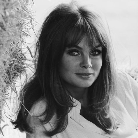 Jean Shrimpton Bombshell Hair Tips and ... Bombshell Blowout, 70’s Hair, Fitness Queen, Bombshell Hair, 1960s Hair, 60s Hair, Jean Shrimpton, 70s Hair, Keratin Complex