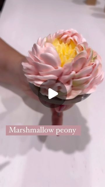 Zhanna Kazantseva  Marshmallow flowers artists  Online classes on Instagram: "Marshmallow peony my passion, my love❤️" Marshmallow Bouquet Diy, Marshmallow Flowers Recipe, Zefir Marshmallow Flowers Recipe, Marshmallow Flowers How To Make, Zefir Marshmallow Flowers, Meringue Flowers, Marshmallow Flower Cupcakes, Marshmallow Flower, Buttercream Piping