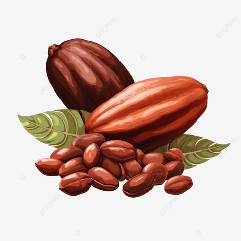 cacao cocoa beans png illustration Cocoa Bean Illustration, Cocoa Illustration, Cocoa Beans, Png Illustration, Cacao Beans, Ad Illustration, Background Drawing, Flyer Ideas, Transparent Image