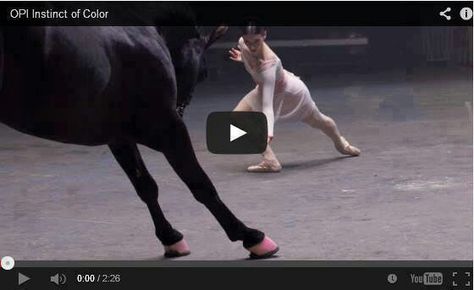 Wow Horse Dance, Step Dance, Horse Videos, All About Horses, I Love Horses, Horse Crazy, White Swan, Horse Training, Cute Horses