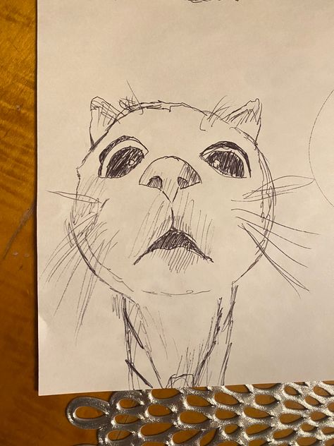 Cat Sketches Aesthetic, How Do You Draw A Cat, Easy Animal Sketches For Beginners, East Cat Drawing, Notebook Paper Drawings, Spidercat Drawing, Funky Art Sketches, Funny Animal Sketches, Silly Cat Painting