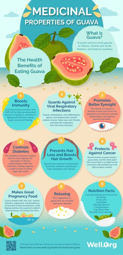 THE MEDICINAL PROPERTIES OF GUAVA AND ITS LEAVES | Aside from its delicious taste, #guava also offers amazing health benefits! Let’s look at all the properties locked inside this nutritious fruit, and help you take your #health to the next level. #healthyfruits Guava Leaves Benefits Health, Guava Juice Benefits, Benefits Of Guava Fruit, Guava Tea Benefits, Guava Leaf Tea Benefits, Guanabana Benefits, Guava Leaves Benefits, Guava Health Benefits, Health Benefits Of Guava