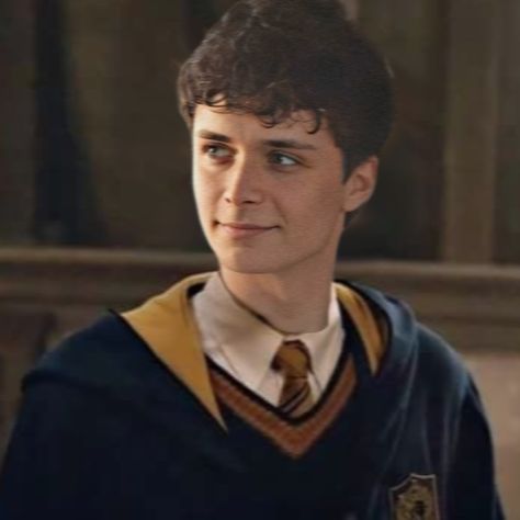 Hufflepuff Character Art, Hufflepuff Boy Aesthetic, Ravenclaw Boys, Hufflepuff Characters, Hp Hufflepuff, Harry Potter Face, Harry Potter Oc, Hufflepuff Aesthetic, Hogwarts Dr