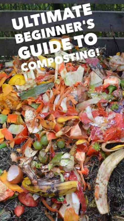 Composting 101: All About Composting for Beginners Compost For Beginners, Composting For Beginners, Composting Ideas, Backyard Diy Ideas, Start Composting, Gemüseanbau In Kübeln, Composting 101, How To Compost, Compost Tumbler