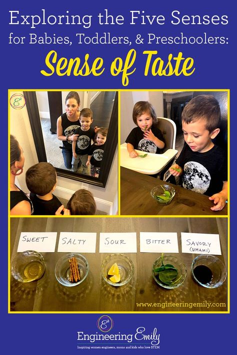 Sense Of Touch Activities, Preschool Senses, Touch Activities, Five Senses Preschool, Taste Sense, 5 Senses Activities, Joy School, Senses Preschool, My Five Senses