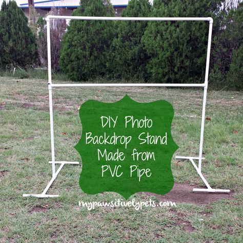 We made our own DIY photo backdrop stand using PVC pipe. Great for taking photos of pets! Pet Photo Backdrop Ideas, Diy Party Backdrop Stand, Home Reception Ideas, Diy Photo Backdrop Stand, Photo Backdrop Frame, Pvc Backdrop Stand, Photobooth Photoshoot, Science Learning Centers, Pet Websites