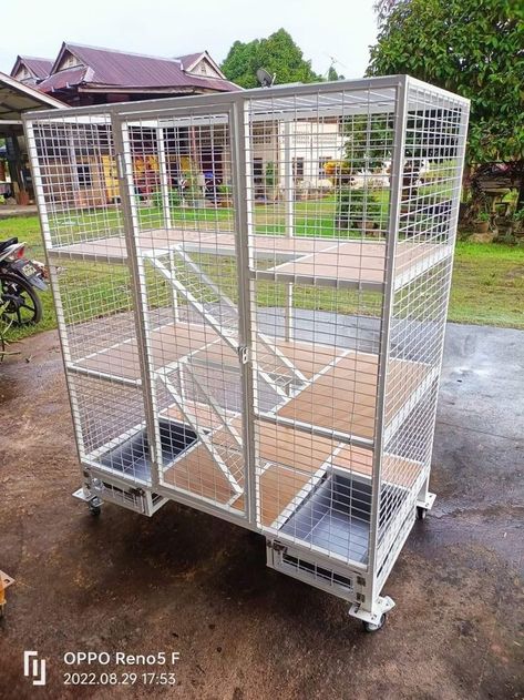 Katten kooi ideeën https://pin.it/ag19Ym1y5 Cat Cages Outdoor, Cat Cage Ideas, Pet Cage Ideas, Cat Room Diy, Hamster Animal, Bengal Cat Kitten, Toilet Tray, Cat Room Decor, Outdoor Pet Enclosure