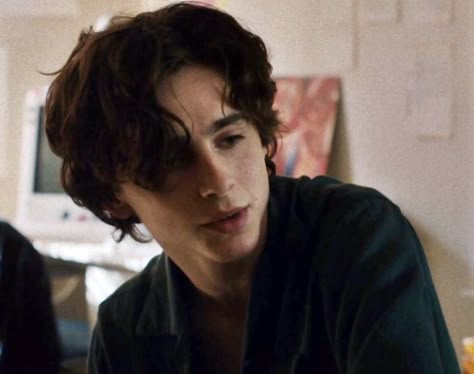 Timothee Chalamet Lady Bird, Kyle Scheible, Male Haircuts Curly, T Chalamet, Mens Hairstyles Thick Hair, Marauders Dr, Lil Timmy Tim, Timmy T, Regulus Black