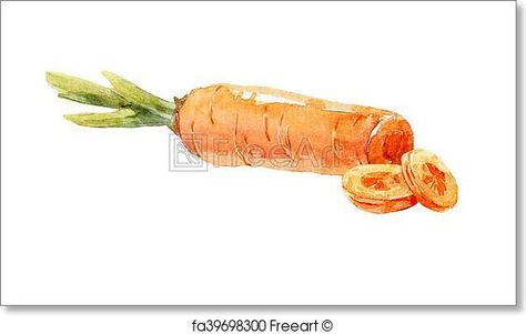 Watercolor hand drawn carrot  Artwork - Art Print from FreeArt.com Carrot Watercolor, Carrot Drawing, Vegetable Art, Free Art Print, No Bad Days, Small Art Prints, Free Art Prints, Inspiration Painting, Flower Food