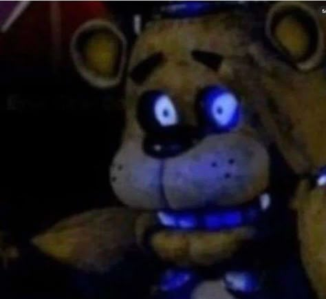 Fnaf Meme, Funny Fnaf, Fnaf Freddy, Fnaf Memes, Fnaf Funny, Freddy Fazbear, Silly Images, 웃긴 사진, Fnaf Stuff