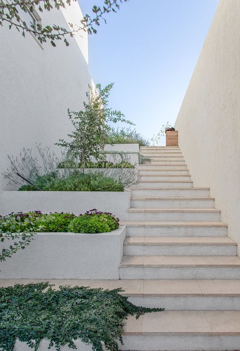 Gallery of Goldwasser House / Architextit-Einat Erez-Kobiler - 23 Exterior Photography, Wine Vault, Staircase Outdoor, External Staircase, Entry Stairs, Exterior Stairs, Stairs Architecture, Stair Landing, Basement Stairs