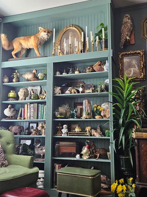 Display Shelves Decor, Oddities Decor, Moody Decor, Decorating Bookshelves, Welcome To My House, Cabinet Of Curiosities, Victorian Decor, Dream House Decor, House Inspo