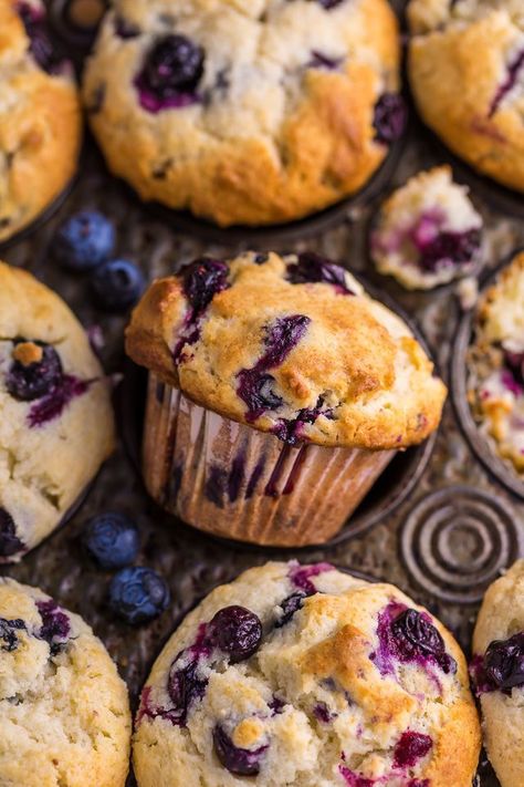 Lemon Blueberry Muffins Recipe, Baker By Nature, Best Blueberry Muffins, Small Batch Baking, Berry Muffins, Simple Muffin Recipe, Lemon Poppyseed Muffins, Lemon Blueberry Muffins, Muffin Recipes Blueberry