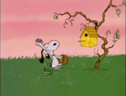 Easter Egg GIF - Easter Egg Snoopy - Discover & Share GIFs Snoopy Video, Easter Beagle Charlie Brown, Happy Easter Gif, Snoopy Gifs, Snoopy Gif, Easter Beagle, Snoopy Easter, Woodstock Peanuts, Snoopy Funny