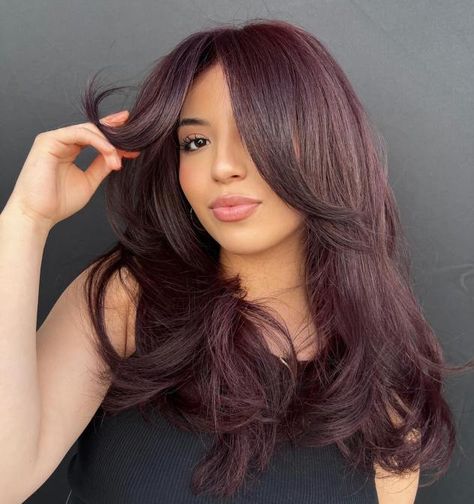 Long Thick Hair with Midshaft Swoopy Pieces Hair On Brown Skin, Red Brown Highlights, Cherry Cola Hair Color, Shades Of Burgundy Hair, Red Purple Hair, Cola Hair, Cherry Cola Hair, Burgundy Shades, Burgundy Hair Color